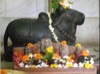 Bull Image Jateswarnath Temple